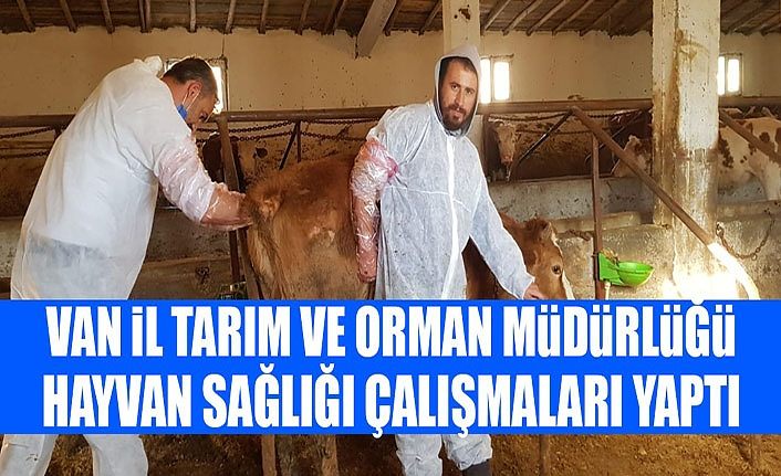 Van İl Tarım ve Orman Müdürlüğü hayvan sağlığı çalışmaları yaptı