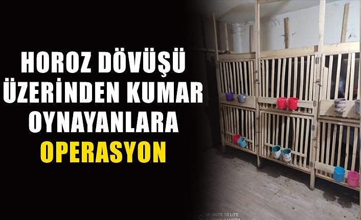 Horoz dövüşü üzerinden kumar oynayanlara operasyon