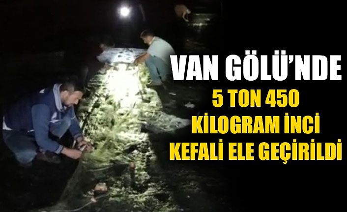 Van Gölü’nde 5 ton 450 kilogram inci kefali ele geçirildi