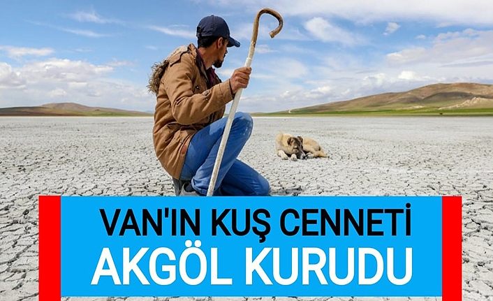 Van'ın kuş cenneti Akgöl kurudu