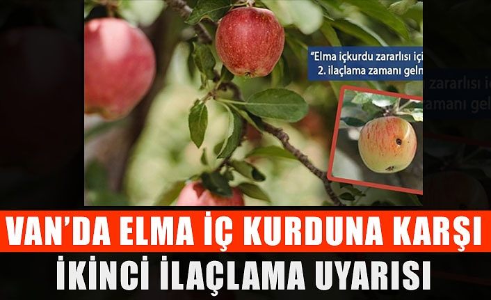 Van’da elma iç kurduna karşı ikinci ilaçlama uyarısı