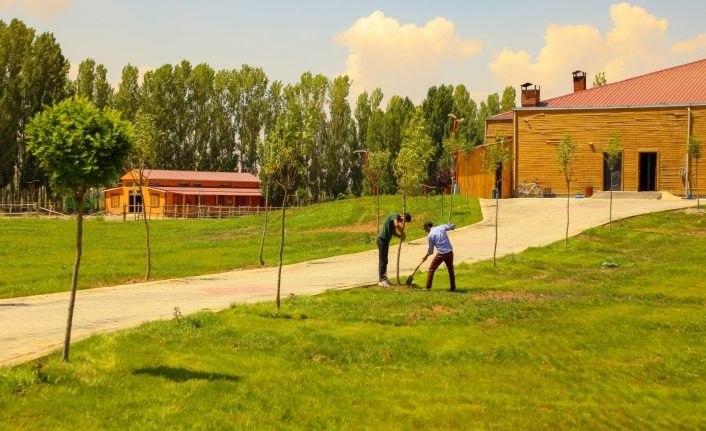 Gürpınar Belediyesinin ağaç seferberliği devam ediyor