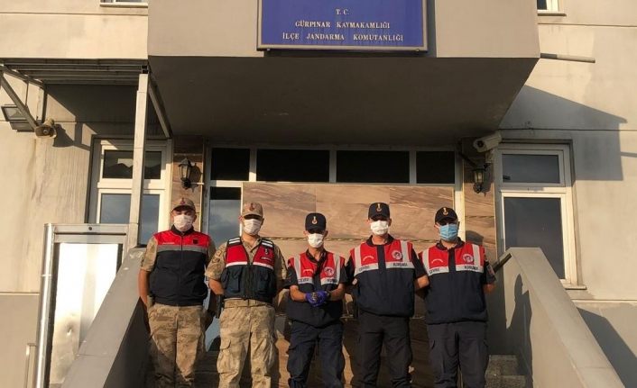 Jandarma ekiplerinin bulduğu ebabil kuşu tedavi altına alındı