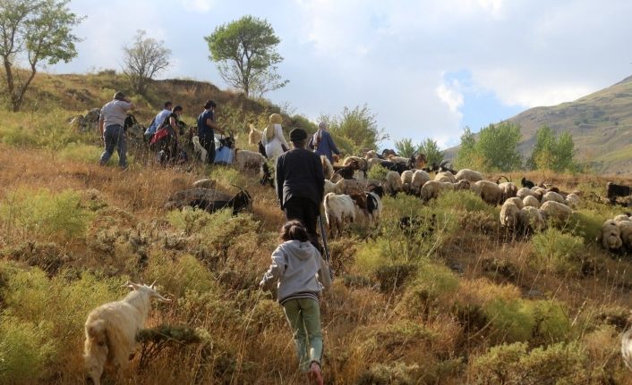 Sağlıkçılar dağ bayır demeden patikaları aşarak aşı yapıyor