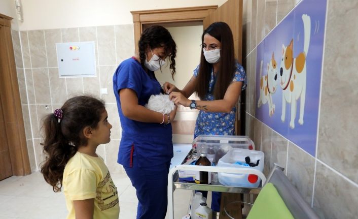 Van Büyükşehir Belediyesi, 6 ayda 147 sokak hayvanını sahiplendirdi