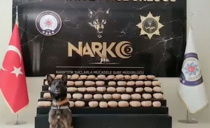 Van’da 62 kilo 700 gram toz esrar ele geçirildi