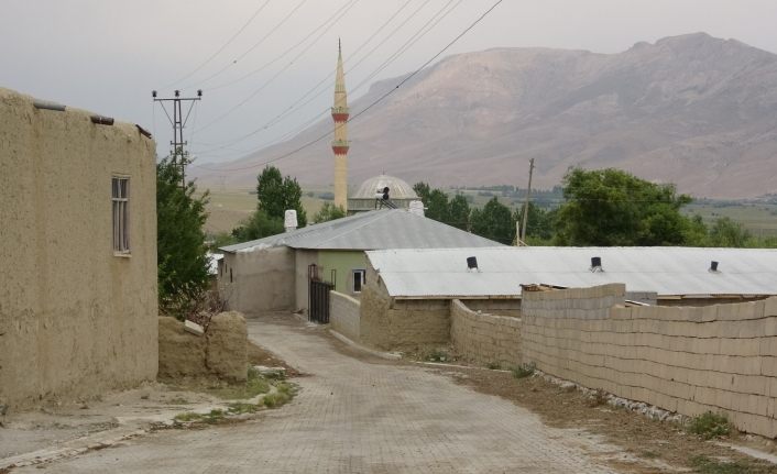 Van’da bir mahallenin başı bit ve pirelerle dertte