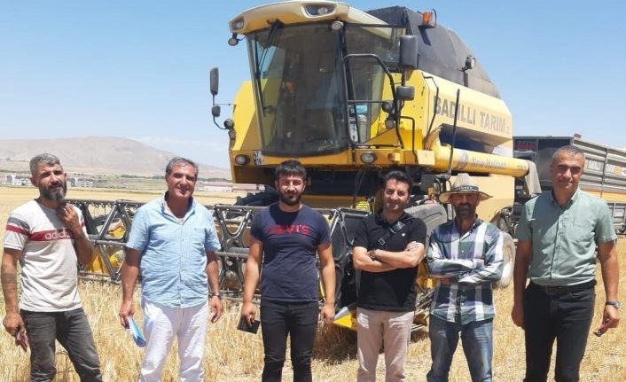 Van’da hububat hasadı başladı
