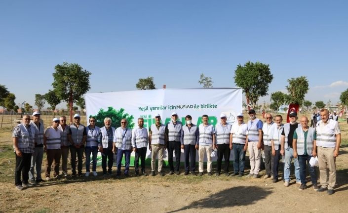 Edremit Belediyesi ve MÜSİAD’dan ortak fidan dikimi