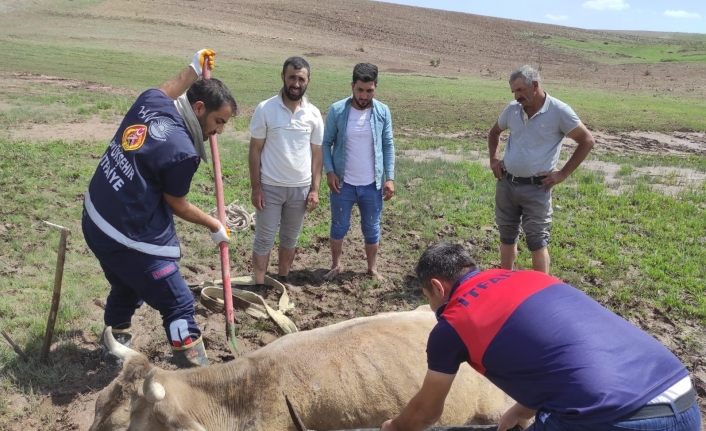 Özalp’ta çamura saplanan büyükbaş hayvan kurtarıldı