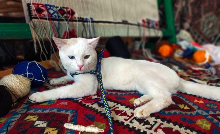 Van Büyükşehir Belediyesi Malazgirt’teki yerini aldı