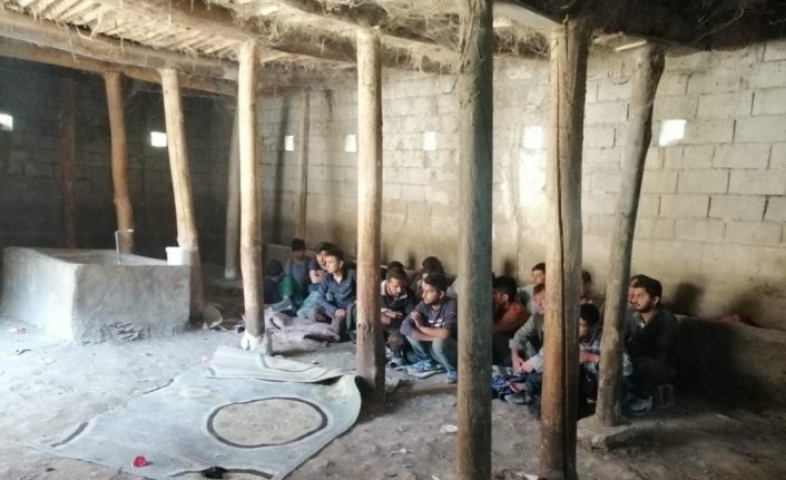 Van’da 2 ahırda 42 düzensiz göçmen yakalandı
