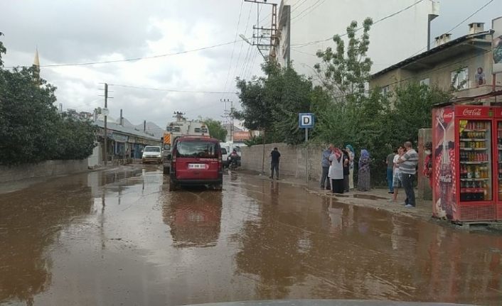 Van’da sel