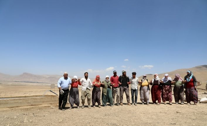 Yaylaya suyun ulaşmasını halaylarla karşıladılar
