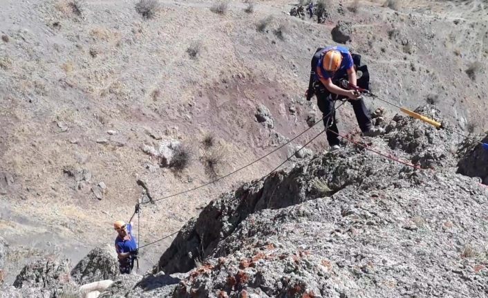 Kayalıklarda mahsur kalan koyunlar AFAD tarafından kurtarıldı