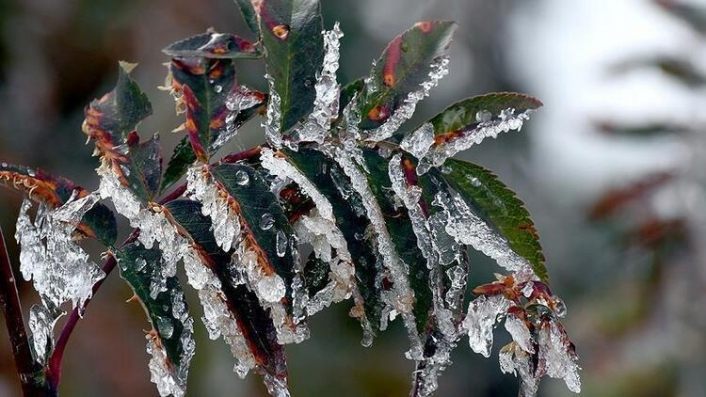 Meteorolojiden rüzgar, yağış ve zirai don uyarısı