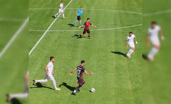 TFF 2. Lig: Vanspor FK: 2 - Adıyaman 1954 Spor: 1