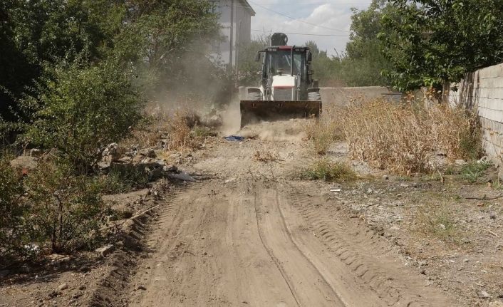 Van Erciş'te ağaçta mahsur kalan kedi kurtarıldı
