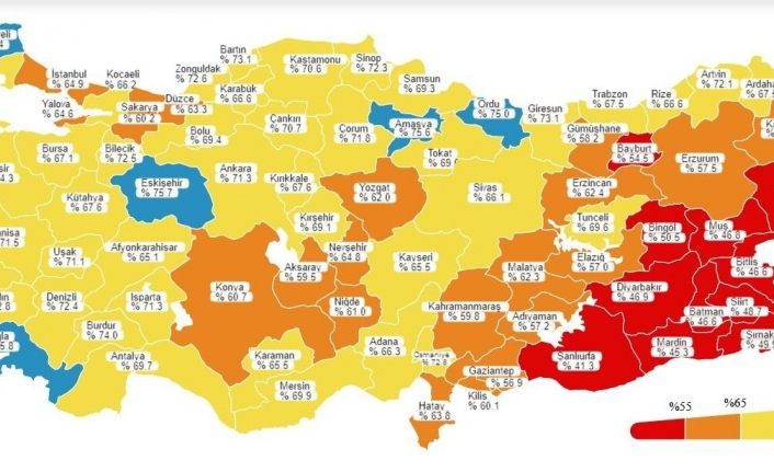 Van, ikinci doz aşıda kırmızı iller arasında