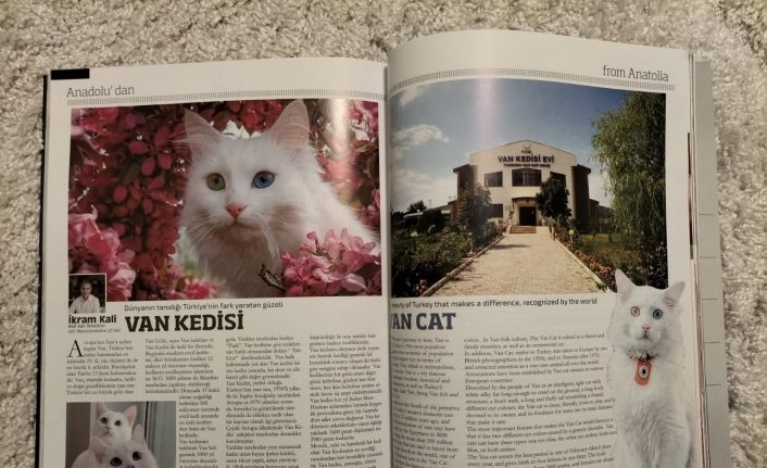 Van Kedisi Küresel Medya Dergisinde
