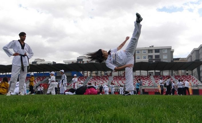 Van’da ’Avrupa Hareketlilik Haftası’ etkinlikleri