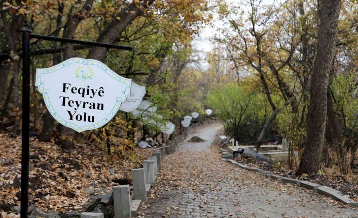 Feqiye Teyran Türbesi’nin çevresi onarıldı