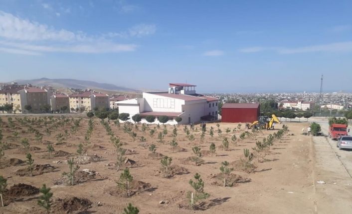 İpekyolunda park ve bahçeler kışa hazırlanıyor