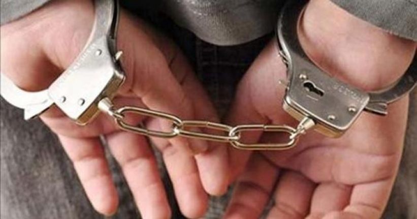 Van'da FETÖ/PDY soruşturması kapsamında hapis cezası bulunan şahıs tutuklandı