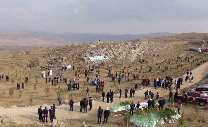 Van’da 40 bin ağaç toprakla buluşturuldu