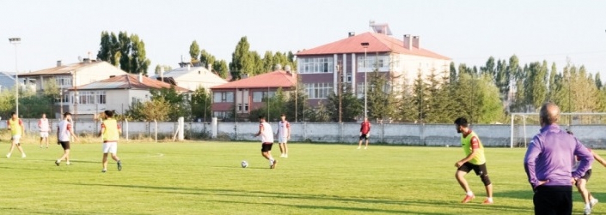 Vanspor, son iki haftayı 4 puanla kapattı 
