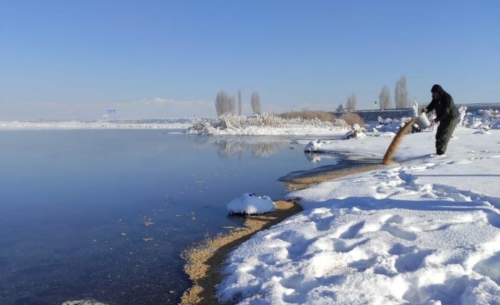 Van’da yaban hayvanlarına yem desteği
