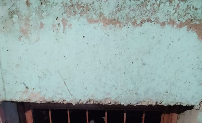 Özalp'te kafası demir korkuluklara sıkışan köpek kurtarıldı