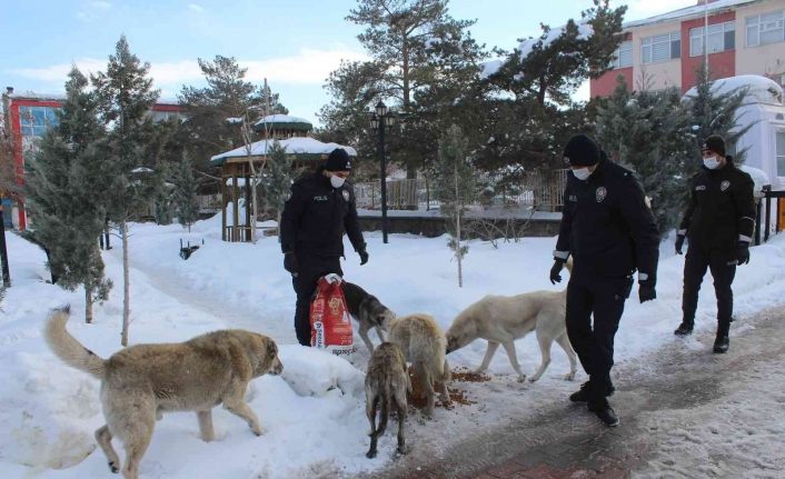 Polis ekiplerinden sokak hayvanlarına şefkat eli