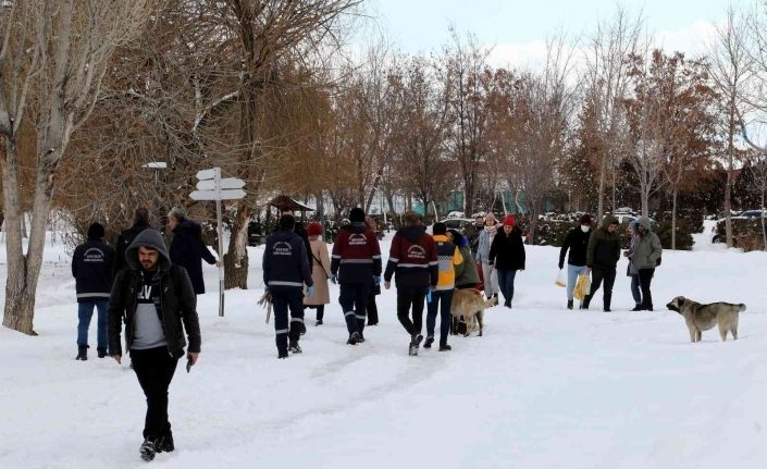 Van Büyükşehir Belediyesi sokak köpeklerini ’mikroçip’ ile kayıt altına alıyor