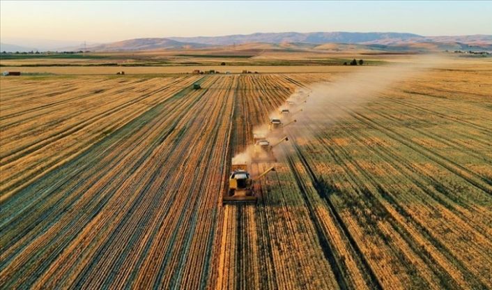 Van’da 2021 yılında 206,4 milyon lira tarımsal destekleme ödemesi yapıldı