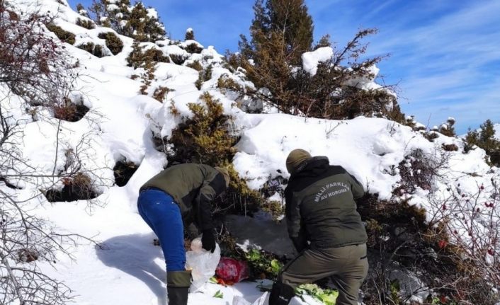 Van’da fırtınada yaban hayvanları unutulmadı