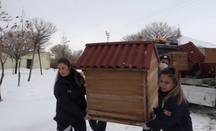 Erciş Belediyesinden sokak hayvanları için kulübe