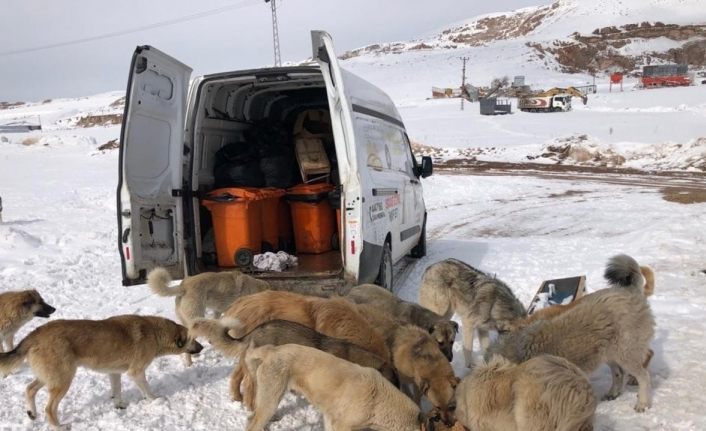 İpekyolu Belediyesinden örnek çalışma