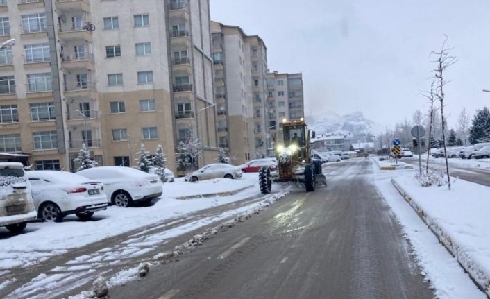 Van’da karla mücadele çalışması