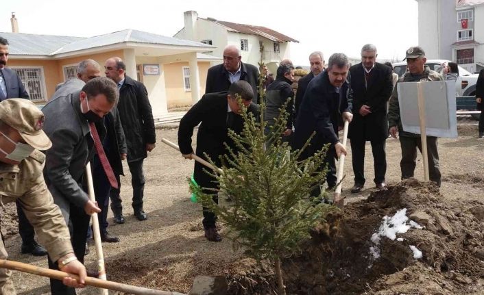 Erciş’te fidan dikimi