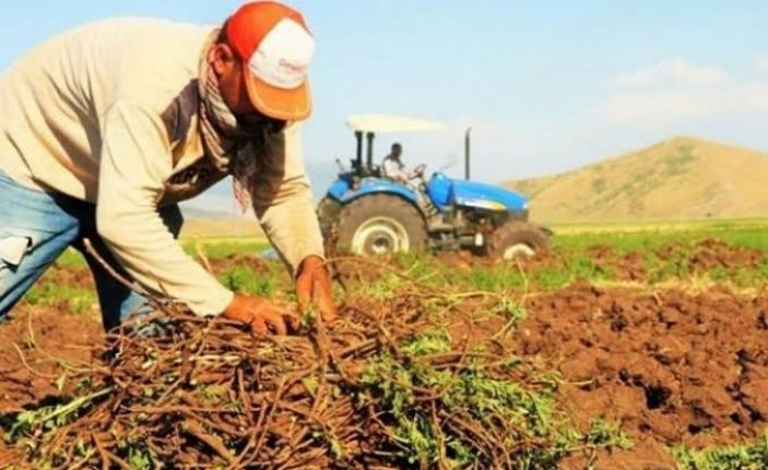 Gürpınar Belediyesi’nden çiftçilere destek 