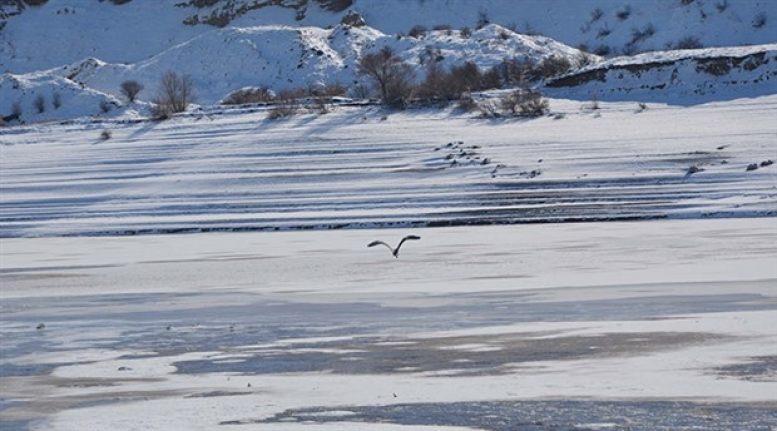 Meteorolojiden kar yağışı, çığ, buzlanma ve don uyarısı