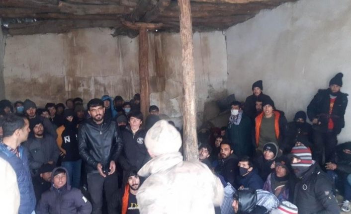 Van’da 85 düzensiz göçmen yakalandı