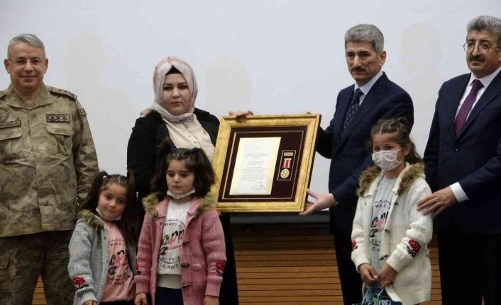 Vanlı şehit ailelerine ‘Devlet Övünç Madalyası’ takdim edildi