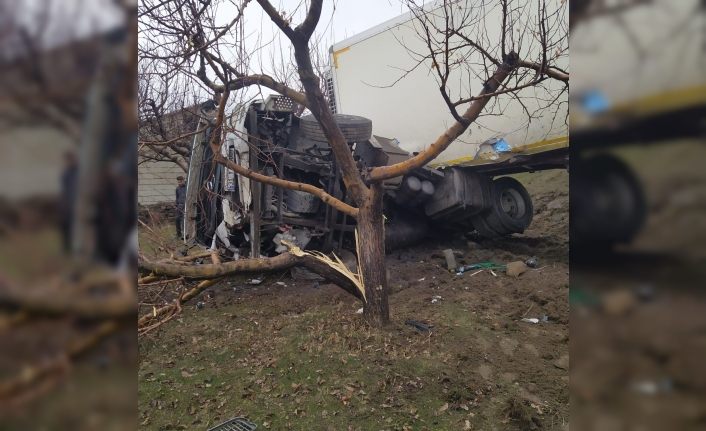 Yoldan çıkan tır meyve bahçesine girdi