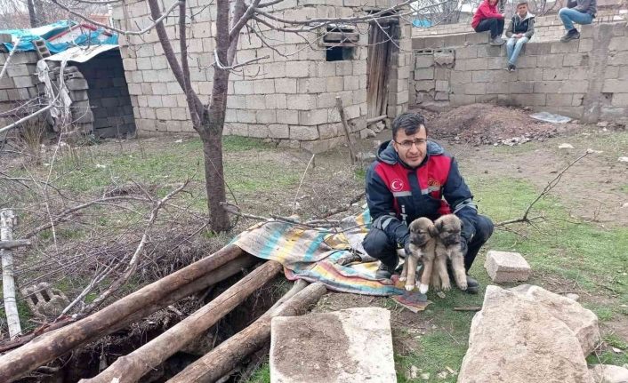13 metre derinlikteki çukura düşen yavru köpekler itfaiye tarafından kurtarıldı