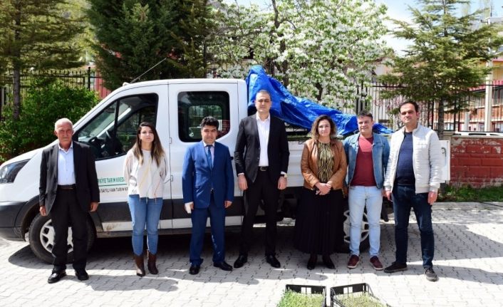 Çatak’ta çiftçilere 30 bin adaçayı ve kekik fidesi dağıtıldı