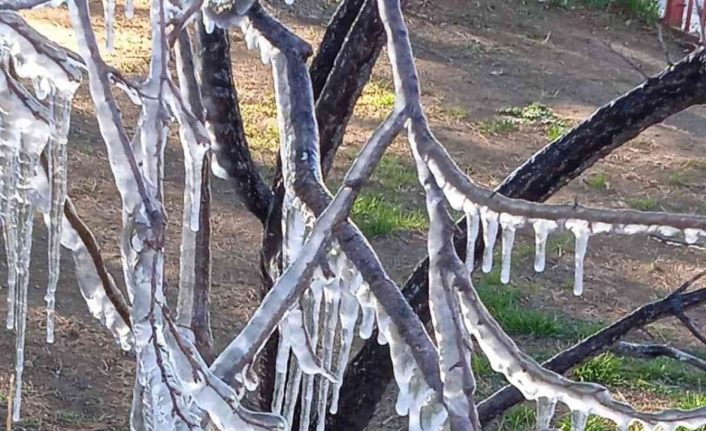 Fıskiyenin açık bırakılmasıyla park buzla kaplandı