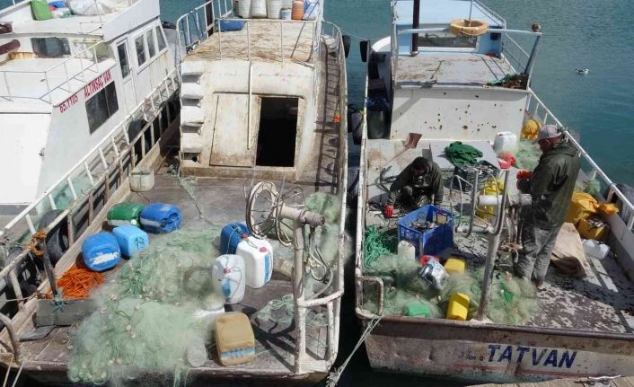 İnci kefali av yasağı başlıyor
