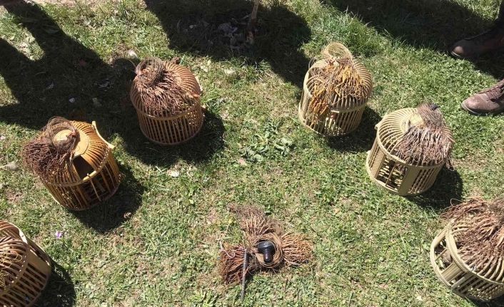 Van’da 5 kişiye 18 bin 900 TL para cezası verildi